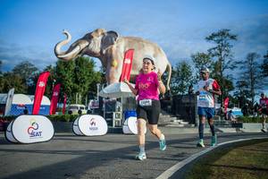 BIB: 
                            <button type="button" onclick="openModal(26541681)" class="btn btn-primary btn-sm float-right btn-popup" data-toggle="modal" data-target=".modal-high-quality">
                        <i class="fas fa-shopping-cart"></i> Add to Cart
                    </button>
                                            <button type="button" onclick="isThisMe(26541681, true)" class="btn btn-success btn-sm float-right btn-popup btn-isme hidden" data-toggle="tooltip" data-placement="bottom" title="นี่คือรูปของคุณใช่ไหม คลิกที่นี่เพื่อเอาเข้าอัลบั้ม">
                        <i class="fas fa-plus"></i> Add to album
                    </button>
                    <button type="button" onclick="isThisMe(26541681, false)" class="btn btn-warning btn-sm float-right btn-popup btn-isnotme hidden">
                        <i class="fas fa-ban"></i> Remove from album
                    </button>